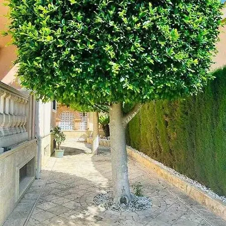 Sol Mediterraneo Palm Views *