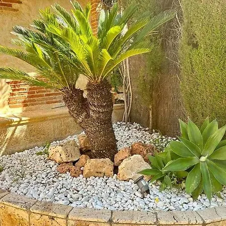 Sol Mediterraneo Palm Views 샬레 *